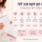 רשים של תהליך IVF והזמן הממוצע בין זריקות, שאיבה והחזרת עוברים