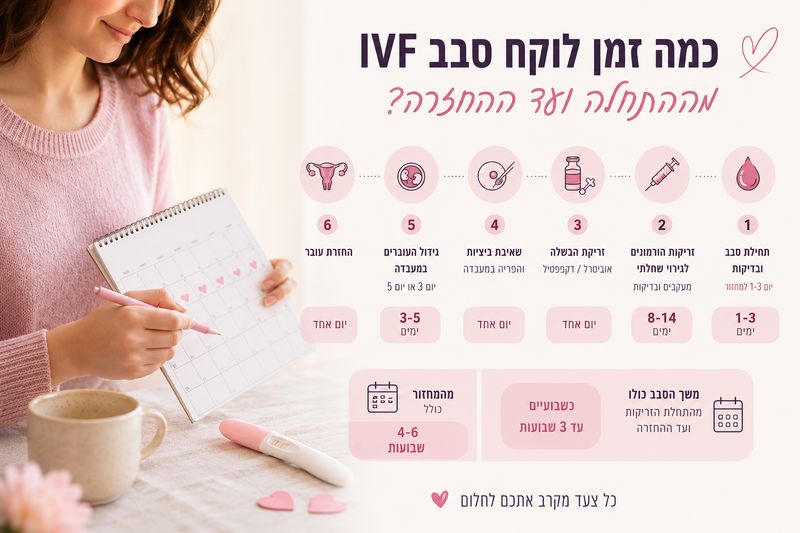 רשים של תהליך IVF והזמן הממוצע בין זריקות, שאיבה והחזרת עוברים